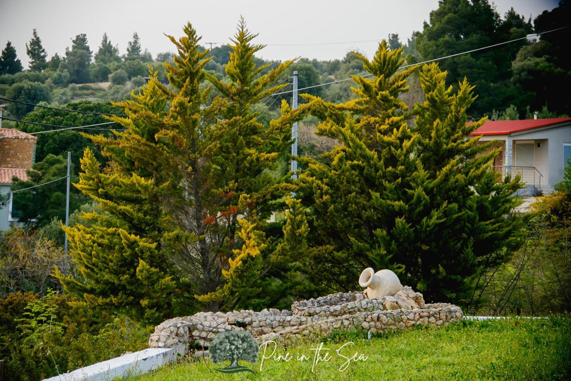 Pine In The Sea Nikiti-Sithonia Apartment Luaran gambar